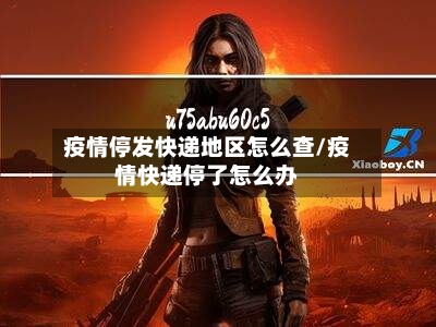 疫情停发快递地区怎么查/疫情快递停了怎么办-第2张图片