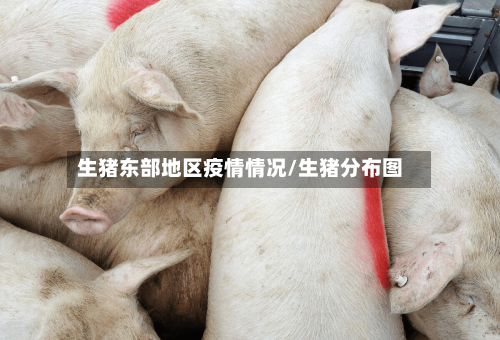 生猪东部地区疫情情况/生猪分布图
