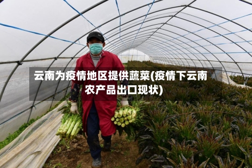 云南为疫情地区提供蔬菜(疫情下云南农产品出口现状)