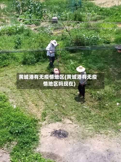 黄城港有无疫情地区(黄城港有无疫情地区吗现在)-第1张图片