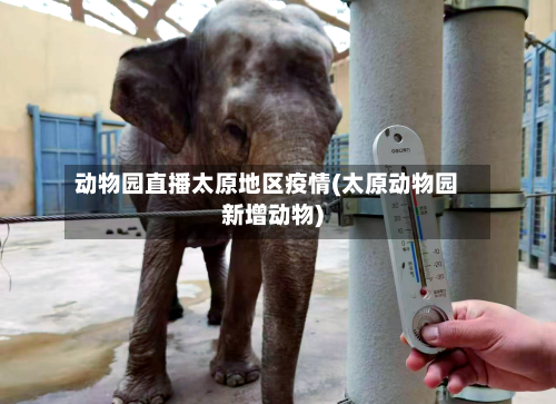 动物园直播太原地区疫情(太原动物园新增动物)