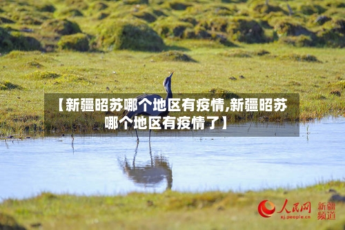 【新疆昭苏哪个地区有疫情,新疆昭苏哪个地区有疫情了】