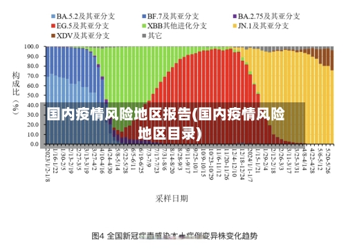 国内疫情风险地区报告(国内疫情风险地区目录)