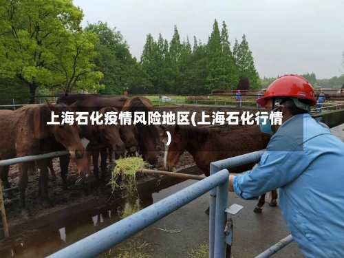 上海石化疫情风险地区(上海石化行情)-第1张图片