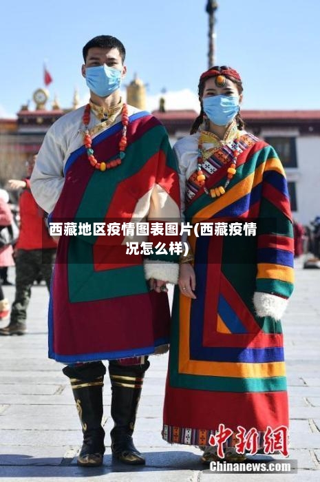 西藏地区疫情图表图片(西藏疫情况怎么样)-第2张图片