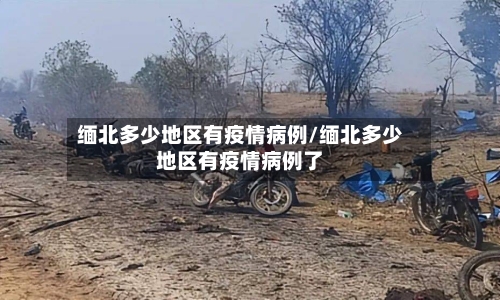 缅北多少地区有疫情病例/缅北多少地区有疫情病例了-第1张图片