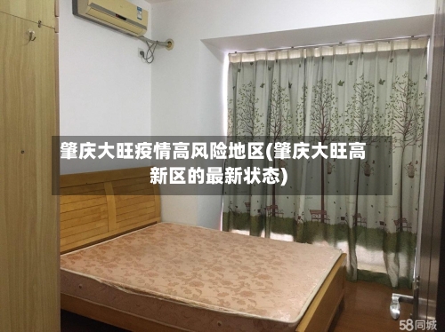 肇庆大旺疫情高风险地区(肇庆大旺高新区的最新状态)-第2张图片