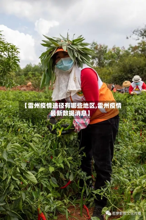 【雷州疫情途径有哪些地区,雷州疫情最新数据消息】-第1张图片
