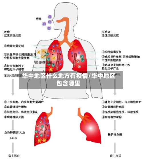 华中地区什么地方有疫情/华中地区包含哪里-第1张图片
