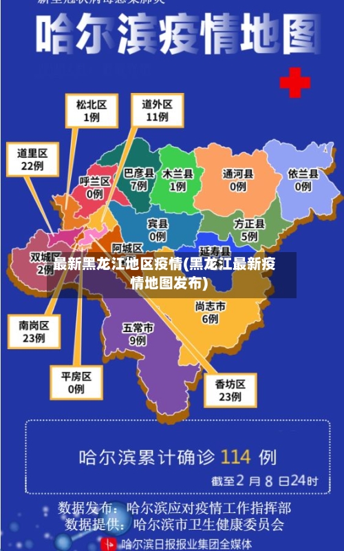 最新黑龙江地区疫情(黑龙江最新疫情地图发布)-第2张图片