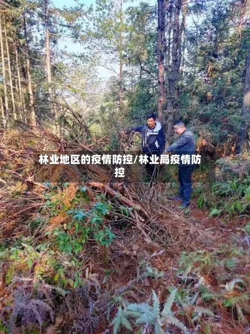 林业地区的疫情防控/林业局疫情防控-第1张图片