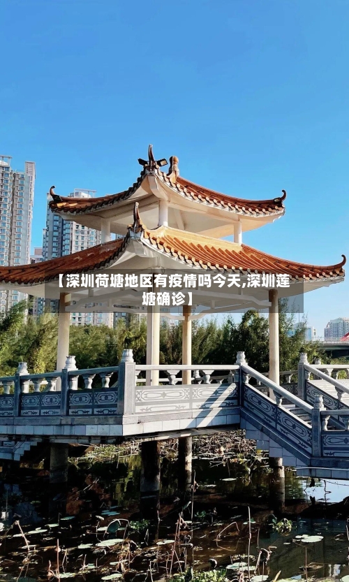 【深圳荷塘地区有疫情吗今天,深圳莲塘确诊】-第3张图片