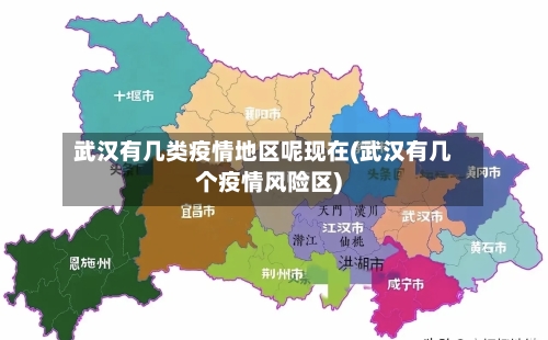 武汉有几类疫情地区呢现在(武汉有几个疫情风险区)-第1张图片