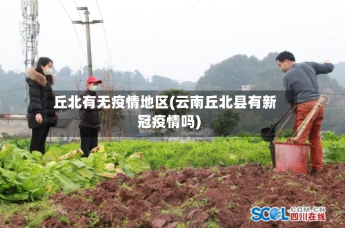 丘北有无疫情地区(云南丘北县有新冠疫情吗)-第2张图片