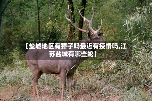 【盐城地区有獐子吗最近有疫情吗,江苏盐城有哪些蛇】-第1张图片