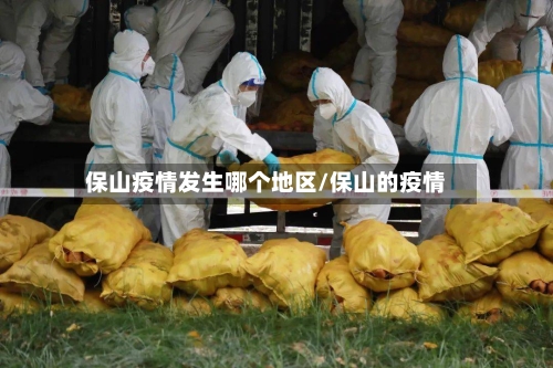 保山疫情发生哪个地区/保山的疫情-第1张图片