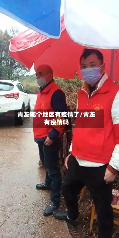 青龙哪个地区有疫情了/青龙有疫情吗-第2张图片