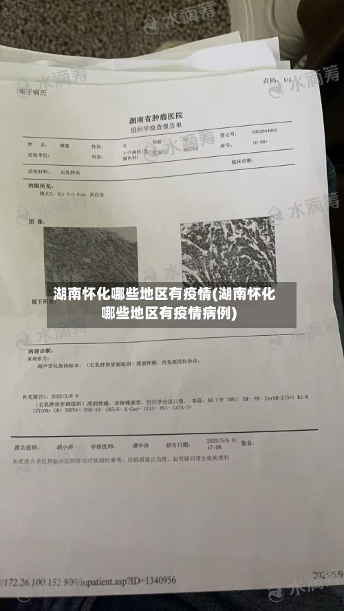 湖南怀化哪些地区有疫情(湖南怀化哪些地区有疫情病例)-第1张图片