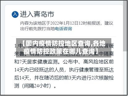 【国内疫情防控地区查询,各地疫情防控政策在哪儿查询】-第1张图片